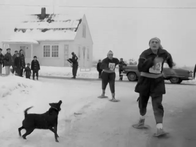 ArticleDoresteRodriguez Fig 1